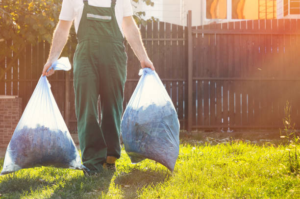 Best Yard Waste Removal  in Washington, DC